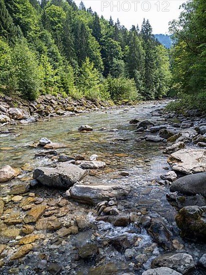 River Breitach in the Breitachklamm gorge near Oberstdorf, Oberallgaeu