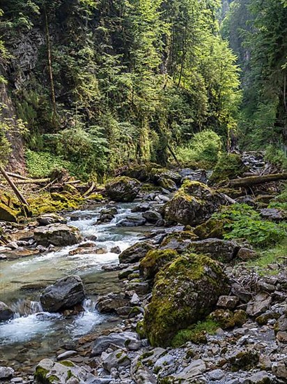 River Breitach in the Breitachklamm gorge near Oberstdorf, Oberallgaeu