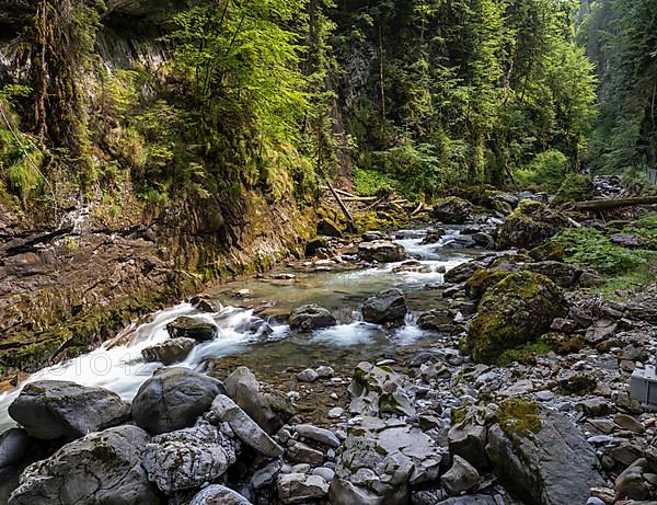 River Breitach in the Breitachklamm gorge near Oberstdorf, Oberallgaeu