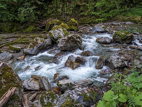 River Breitach at the Breitachklamm gorge near Oberstdorf, Oberallgaeu