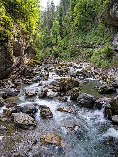 River Breitach at the Breitachklamm gorge near Oberstdorf, Oberallgaeu