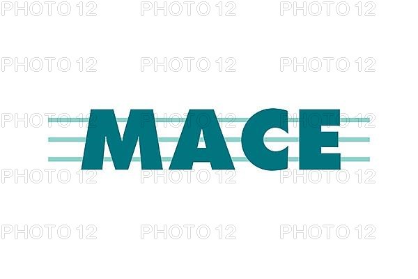 Mace shop, Logo