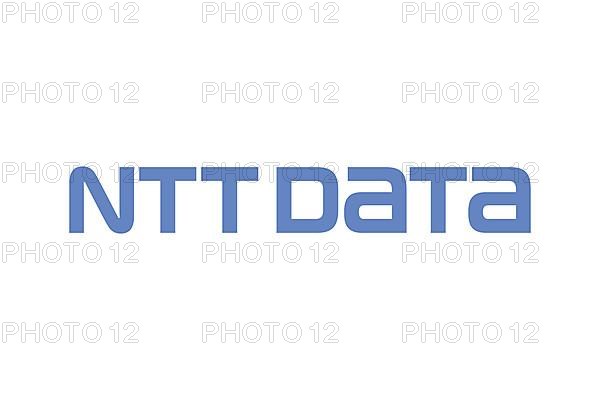 NTT Data, Logo