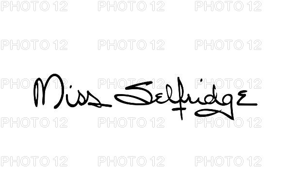 Miss Selfridge, Logo