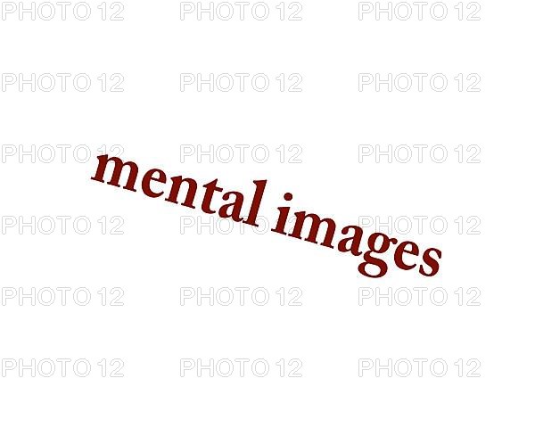 Mental Images, rotated logo