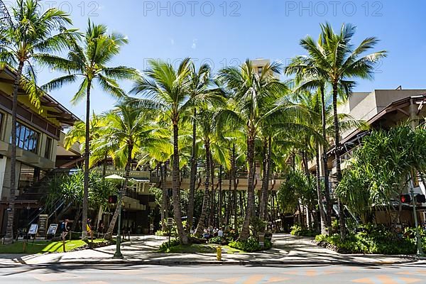 Waikiki, Honolulu