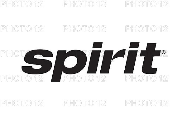 Spirit Airline, Logo