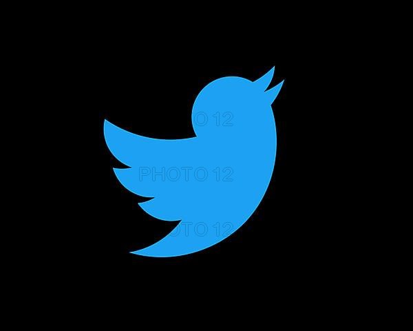 Twitter, rotated logo