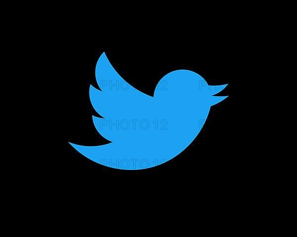 Twitter, rotated logo