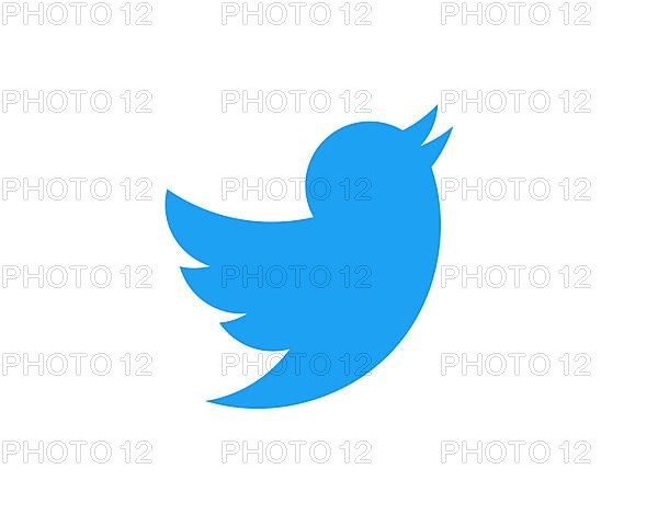 Twitter, rotated logo