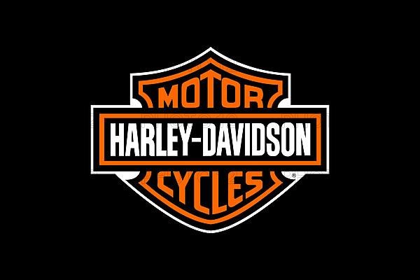 Harley Davidson, Logo