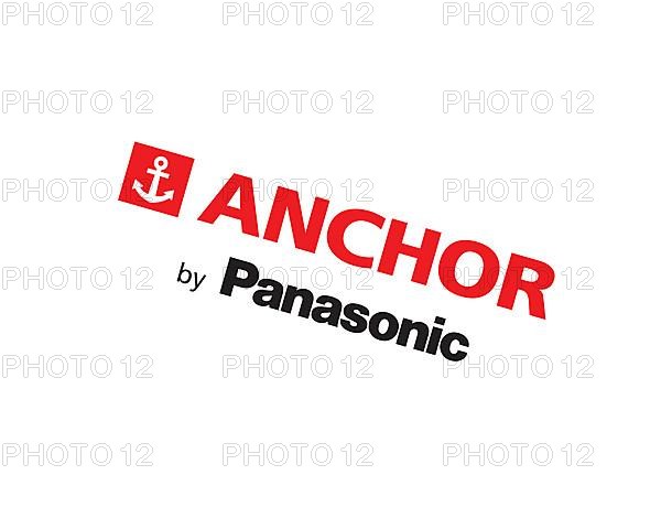 Anchor Electricals Pvt. Ltd. Rotated Logo, White Background B