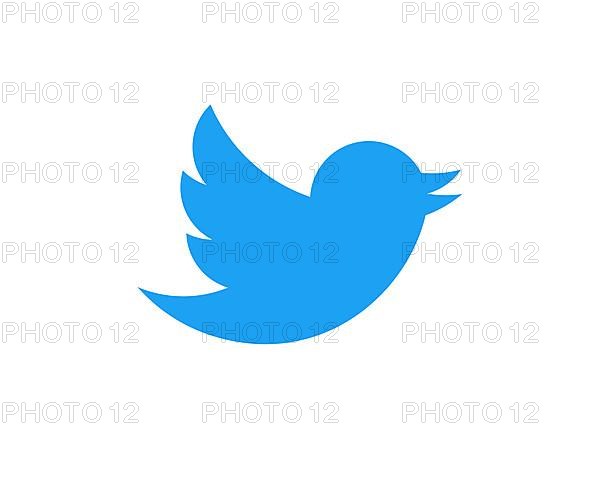 Twitter, rotated logo