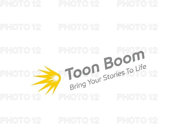 Toon Boom Animation, Rotated Logo