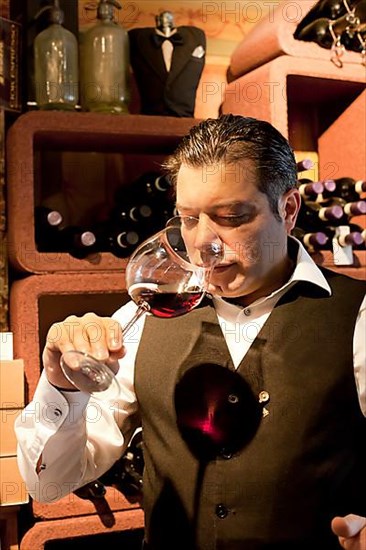 SOMMELIER, WINE Tasting