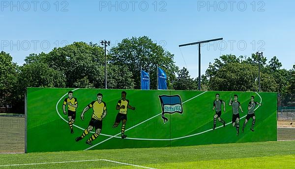 Hertha BSC logo on the training ground in the Olympiapark, Berlin