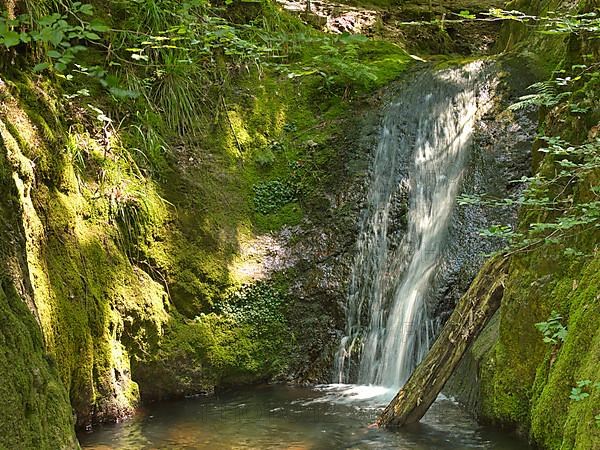 Edelfrauengrab waterfall of the Gottschlag stream in the Black Forest National Park near Ottenhoefen, Edelfrauengrab waterfalls