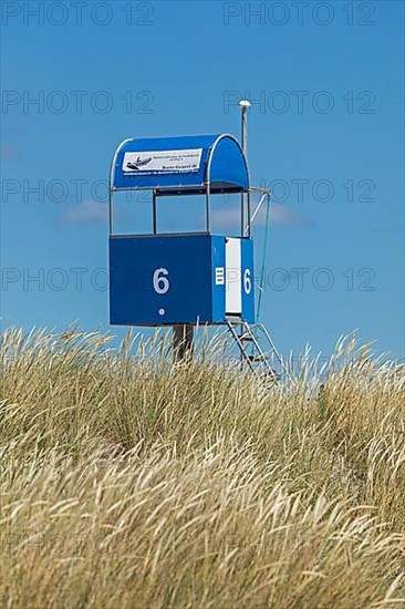 Llifeguard Tower, Steinwarder Peninsula