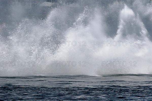 Spray of water from a race boat, Saint Lawrence River