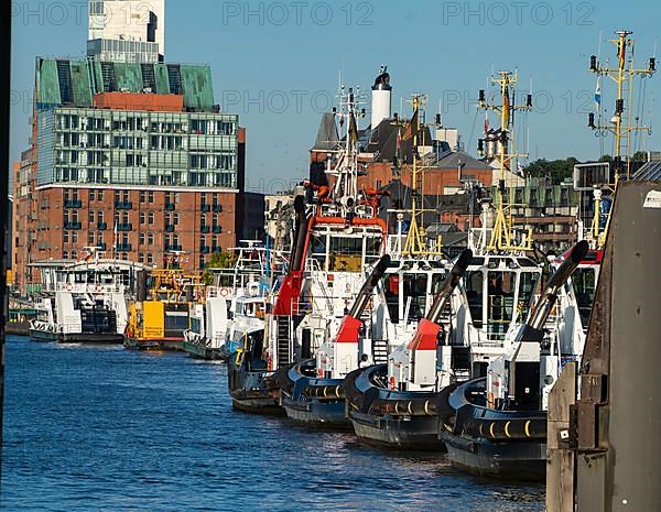 Tugboats in the harbour, Hamburg