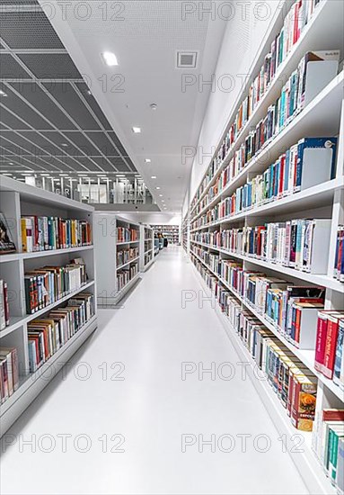 Bookshelves of the Modern Library, Architecture