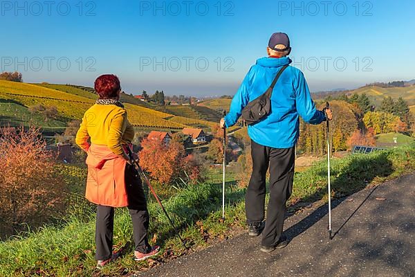 Hikers enjoy the view of the vineyards near Sasbachwalden, Black Forest