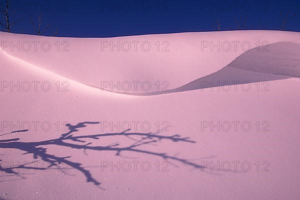 Tree shadow on winter snowdrift at Patricia Beach on Lake Winnipeg Manitoba Canada,