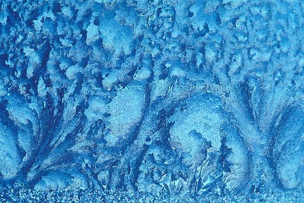 Window frost abstract forest trees in winter Kleefeld Manitoba Canada,