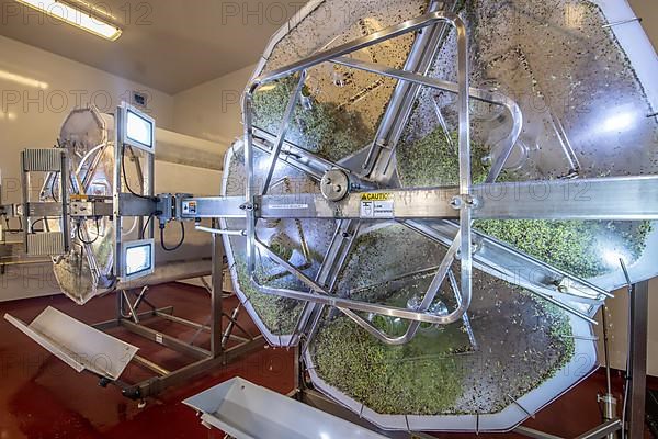 Close up of high tech hydroponic sprouting equipment in facility, Thurmont