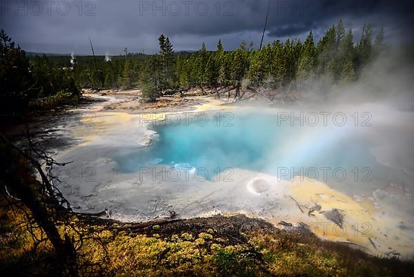 Norris Geyser Basin in Yellowstone National Park, USA