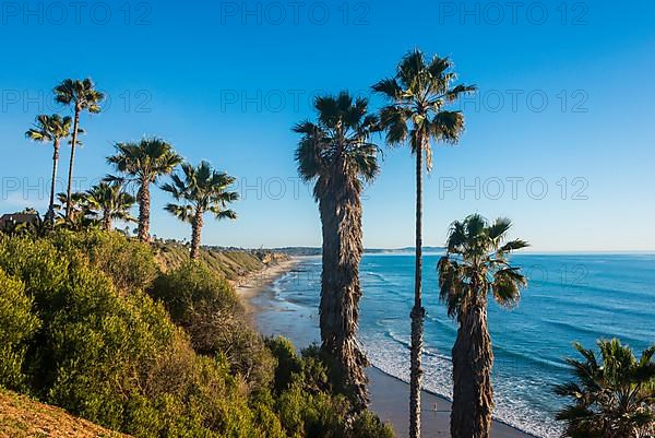 Coast of Cardiff, southern California