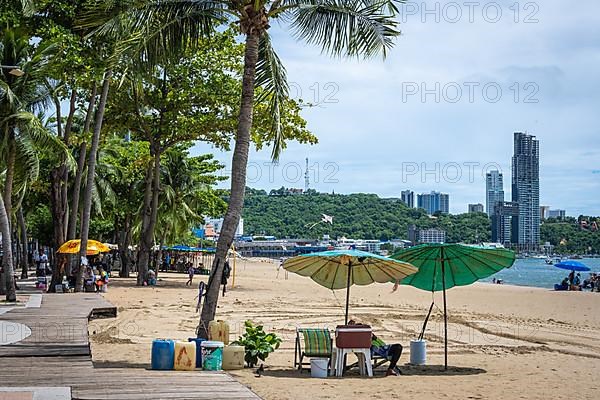 Palm trees,