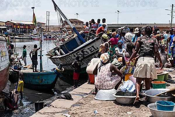 Women, fish seller