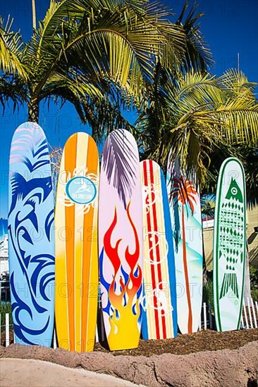 Surfboards in the seaworld aquarium, San Diego