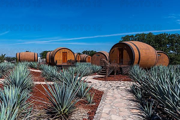 Hotel rooms in the form of a Tequila barrel in an blue agave field, Tequila Factory La Cofradia