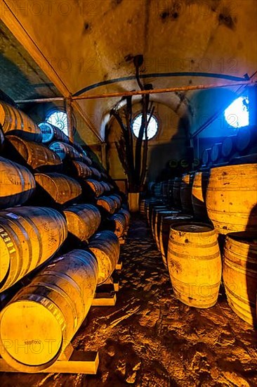 Old storage facility for Tequila barrels, Tequila Factory La Cofradia