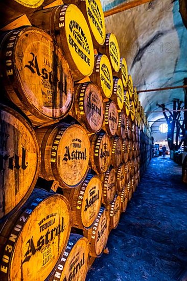 Old storage facility for Tequila barrels, Tequila Factory La Cofradia