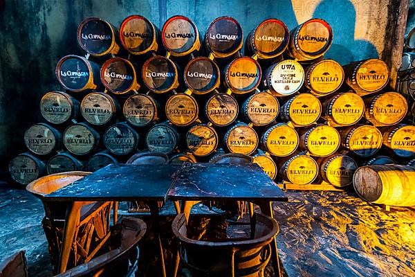 Old storage facility for Tequila barrels, Tequila Factory La Cofradia