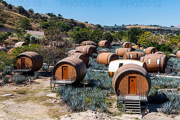 Hotel rooms in the form of a Tequila barrel in an blue agave field, Tequila Factory La Cofradia