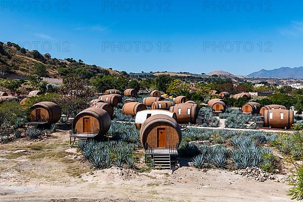 Hotel rooms in the form of a Tequila barrel in an blue agave field, Tequila Factory La Cofradia