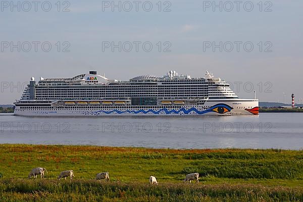 Cruise ship AIDA Perla leaves the port of Hamburg on the Elbe, Wedel