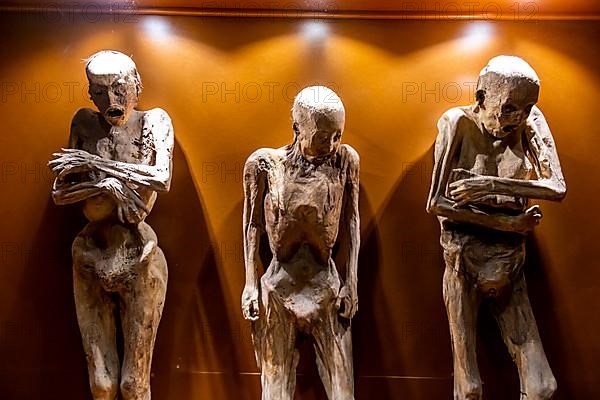 Museum of the Mummies, Unesco site Guanajuato