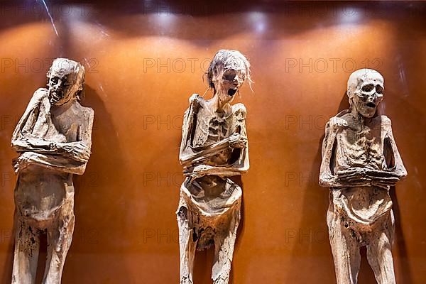 Museum of the Mummies, Unesco site Guanajuato