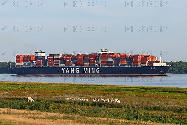 Container ship YM Wreath leaving the port of Hamburg on the Elbe, Wedel