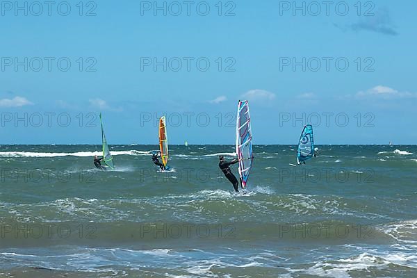 Windsurfer, Steinwarder Peninsula