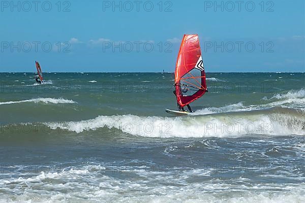 Windsurfer, Steinwarder Peninsula