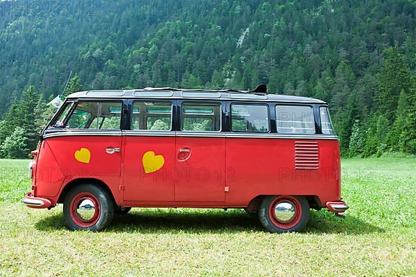 VW T1, BULI