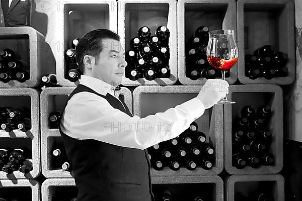 Sommelier, wine tasting