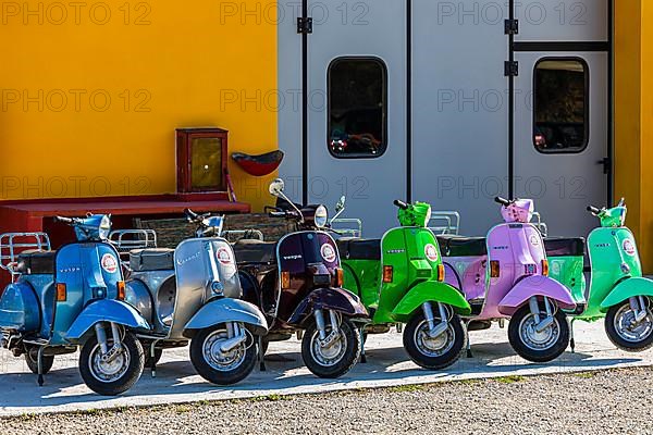 Coloured Vespa scooters, lined up