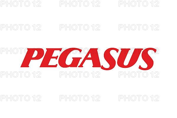 Pegasus Airline, Logo